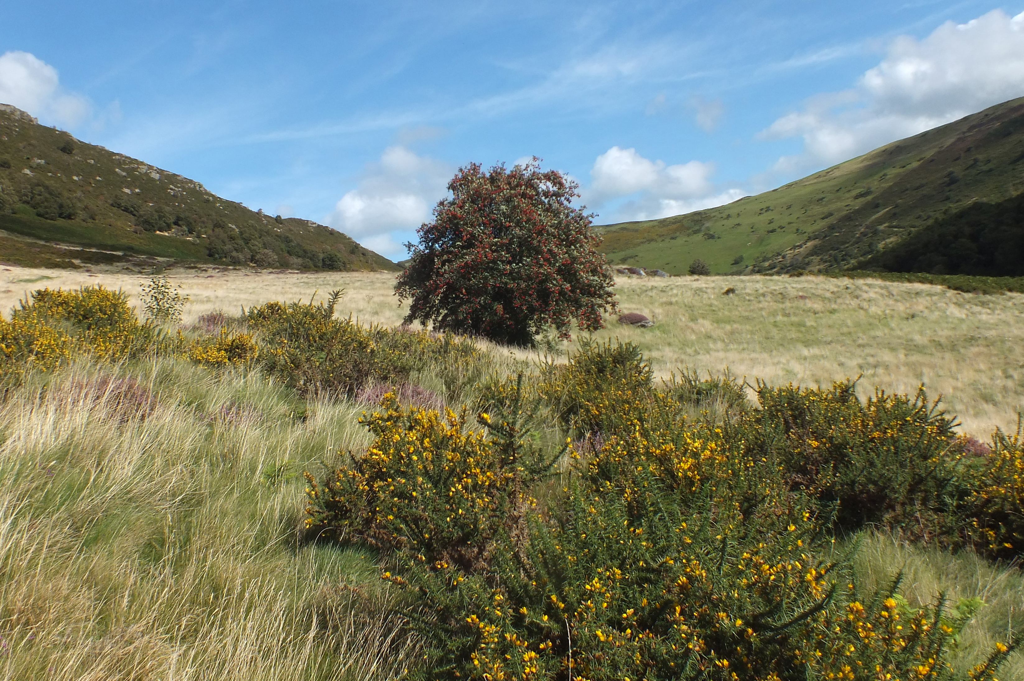 MARTEG VALLEY Bill Bagley Photography